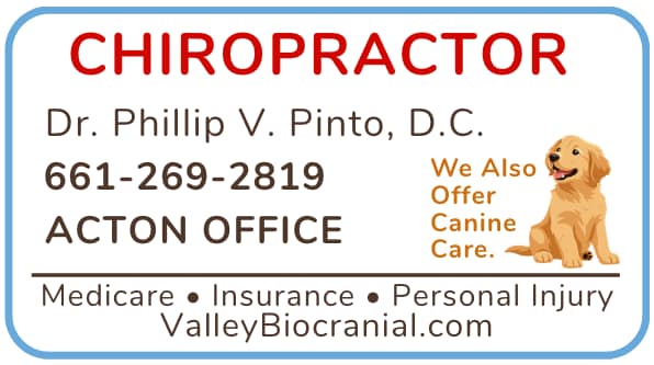 Dr Pinto
